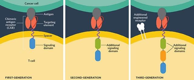 Fig.1 The production of CAR. (Abbott, et al., 2020)