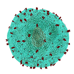 Tumor antigen heterogeneity