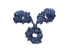 Virus Specific T Cell VST Technology.