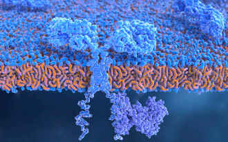 CAR Design & Construction