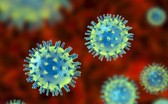 CAR-T Gene Packaging and Delivery