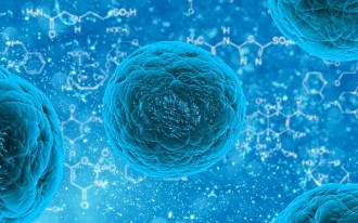 Single Cell Analysis for CAR-T Cell