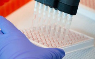 CAR Cell In Vitro Assay Services