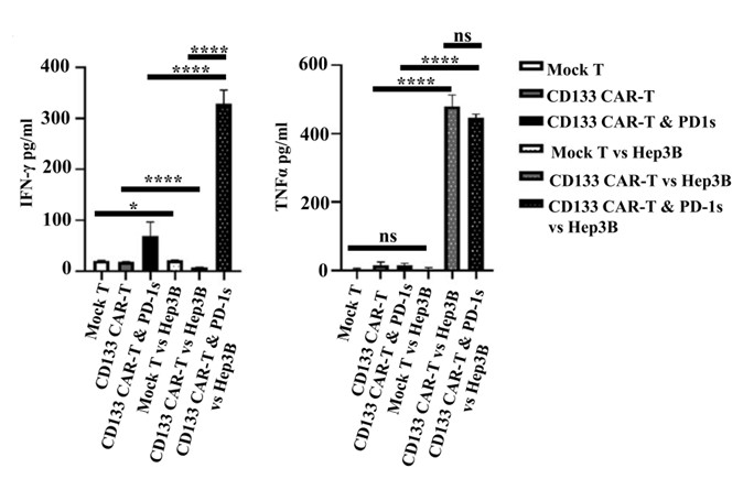 Fig.5 Cytokine detection (IFNγ and TNFα) of different CD133 CAR-T cells co-cultured with tumor cells. (Yang, Chaopin, et al., 2023)