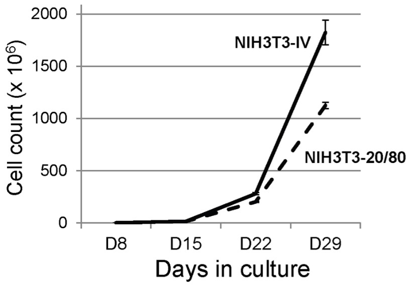 Fig.3 Expansion of CD20-CAR expression using NIH3T3-based artificial APCs. (Budde, et al., 2013)