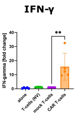 Fig.3 Cytokine production of anti-CEACAM6 CAR-T cells co-cultured with BxPC-3 target cells. (Jancewicz, Iga, et al., 2021)
