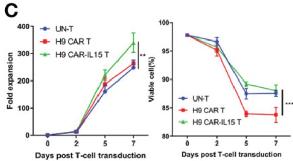 Fig.4 Expansion and viability analysis of anti-Claudin18.2 CAR-T cells. (Shi, Hongtai, et al., 2023)