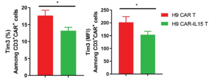 Fig.6 TIM-3 marker expression detection in anti-Claudin18.2 CAR-T cells on Day 7 after transduction. (Shi, Hongtai, et al., 2023)
