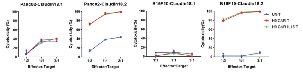Fig.8 In vitro cytotoxicity analysis of anti-Claudin18.2 CAR-T cells against different target cells at various E:T ratios by luciferase assay system. (Shi, Hongtai, et al., 2023)
