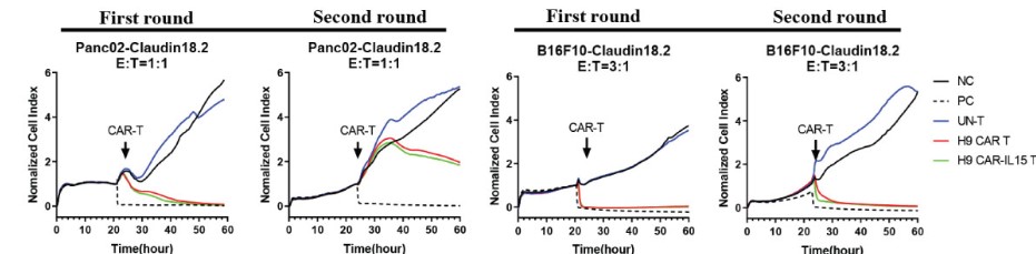 Fig.9 In vitro dynamic killing assessment of anti-Claudin18.2 CAR-T cells against different target cells by RTCA assay. (Shi, Hongtai, et al., 2023)