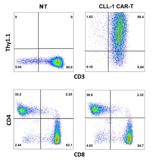 Fig.2 Representative phenotype of CLL-CART cells by flow cytometry. (Wang, Jinghua, et al., 2018)