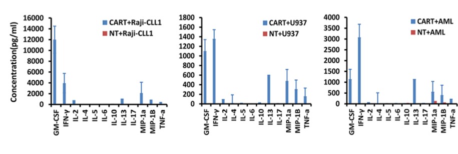 Fig.3 Cytokine detection of CLL-1 CAR-T co-cultured with various target cells by multiple cytokine profiling. (Wang, Jinghua, et al., 2018)