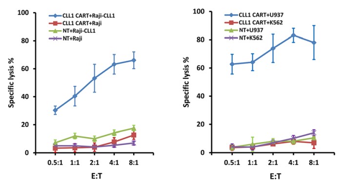 Fig.4 In vitro cytotoxicity test of anti-CLL1 CAR-T cells against different tumor cells. (Wang, Jinghua, et al., 2018)