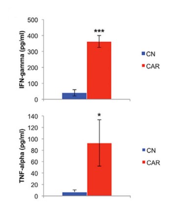 Fig.3 Cytokine detection of LILRB4 CAR T cells co-cultured with MV4-11 cells at 1:1 E/T ratio. (John, Samuel, et al., 2018)