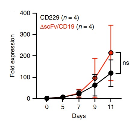 Fig.1 Expansion test of LY9 CAR-T cells detected by automated cell counting. (Radhakrishnan, et al., 2020)
