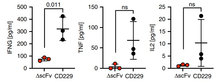 Fig.2 Cytokine secretion test of LY9 CAR-T cells co-cultured with primary plasma cell leukemia cells detected by cytometric bead assay. (Radhakrishnan, et al., 2020)