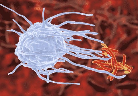 CARMA Vector Products