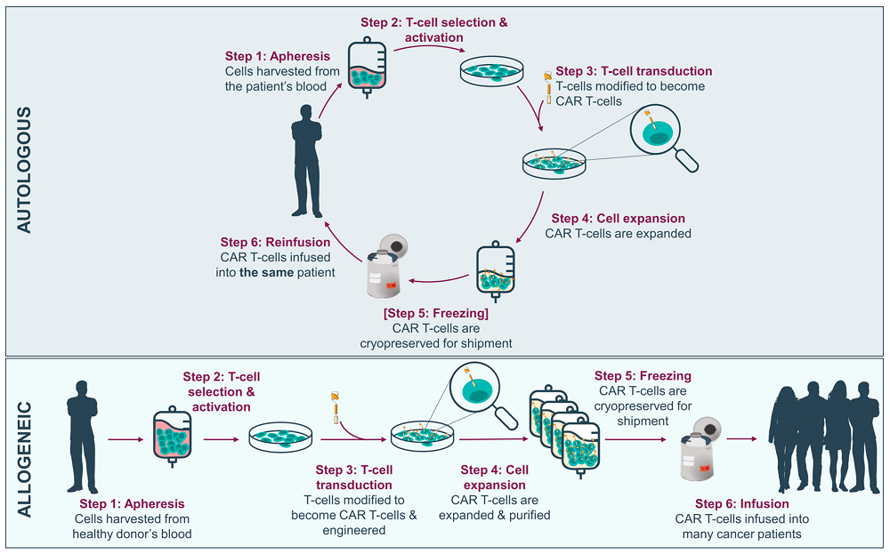 Figure 3 Autologous versus allogeneic CAR-T cell therapy