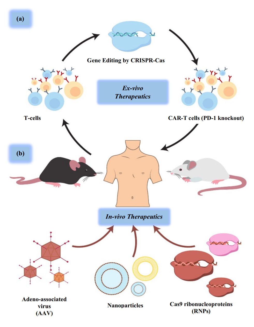 Figure 1 The Differences Between CGT CRO and Traditional Industries.