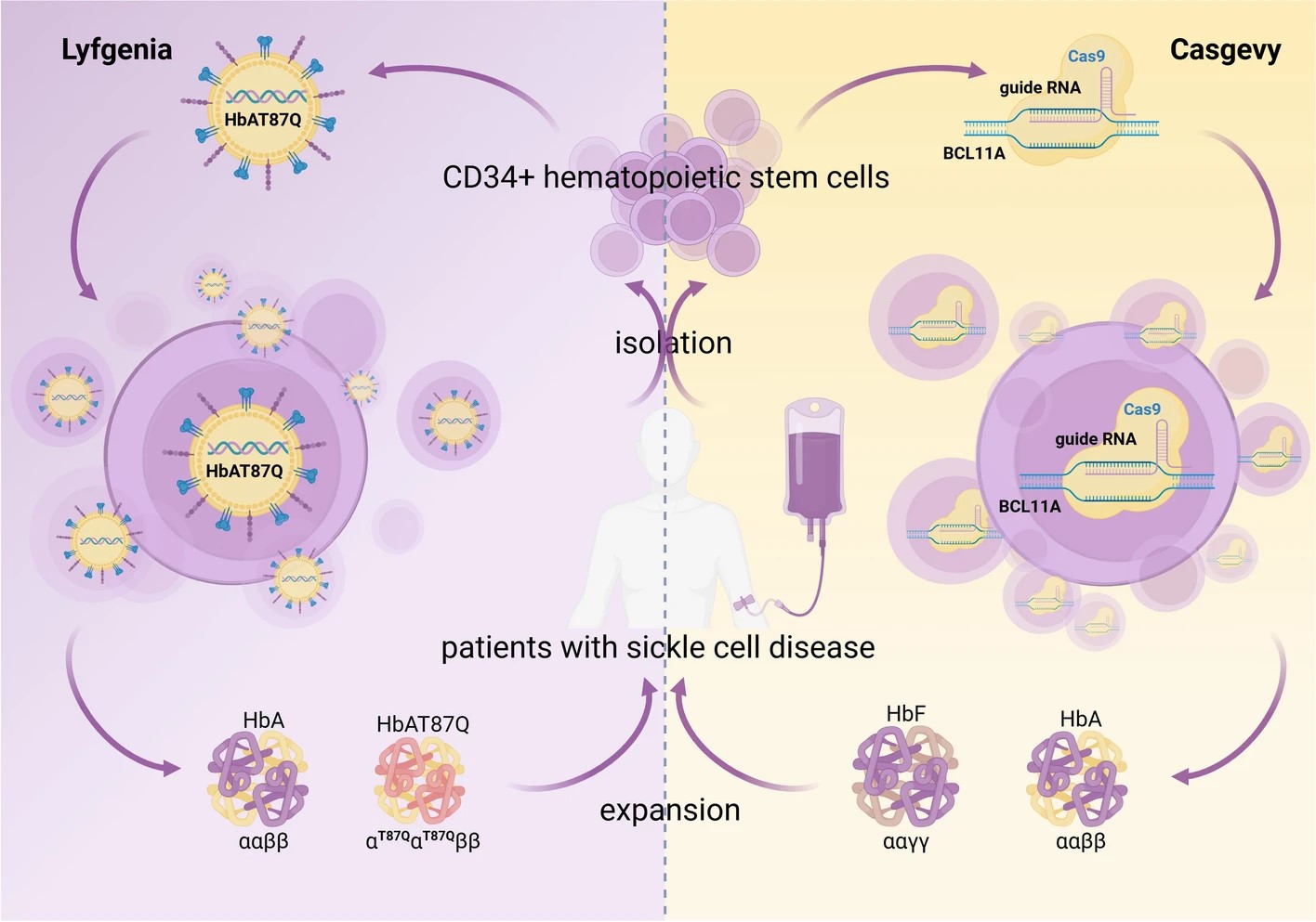 Figure 1 The Differences Between CGT CRO and Traditional Industries.