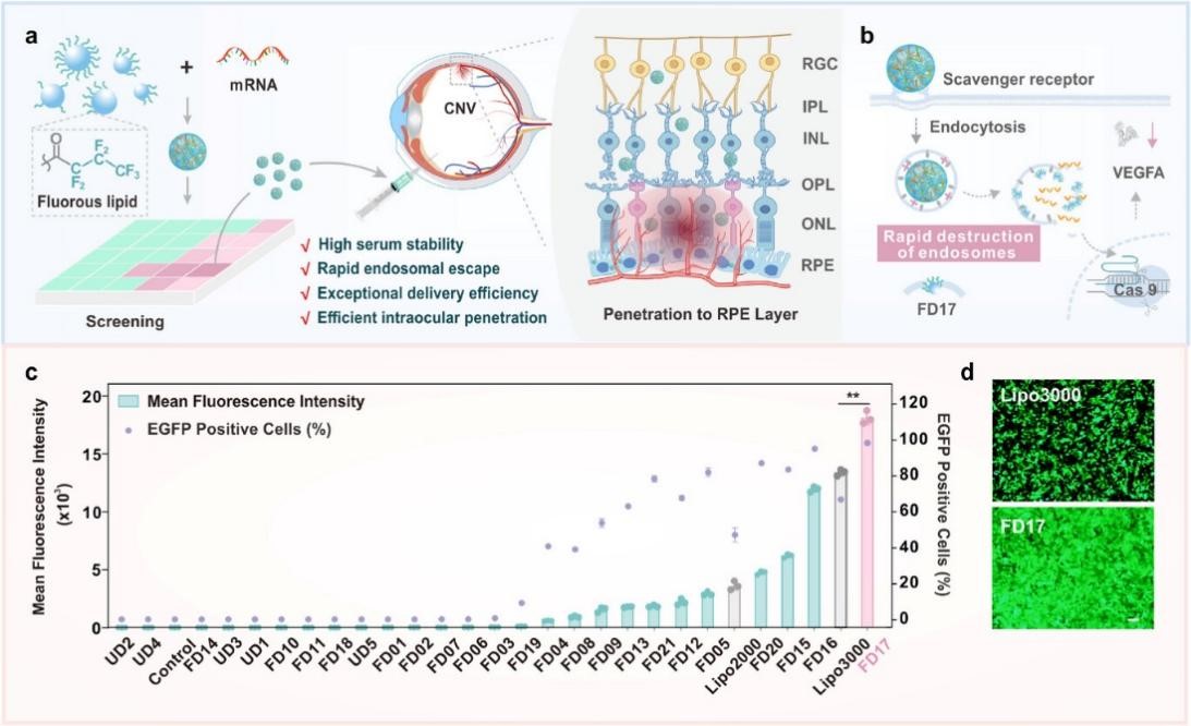 Figure 1 The Differences Between CGT CRO and Traditional Industries.