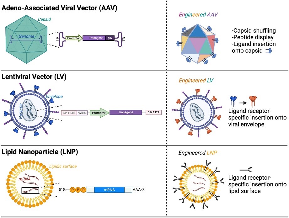 Figure 1 The Differences Between CGT CRO and Traditional Industries.