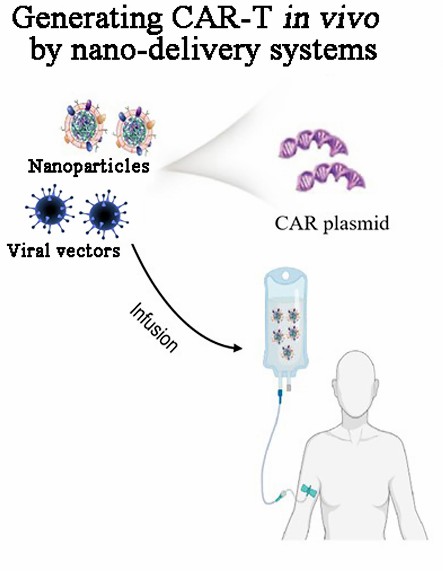 Fig.2 Generating CAR-T in vivo.