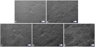 Figure 1 The Differences Between CGT CRO and Traditional Industries.