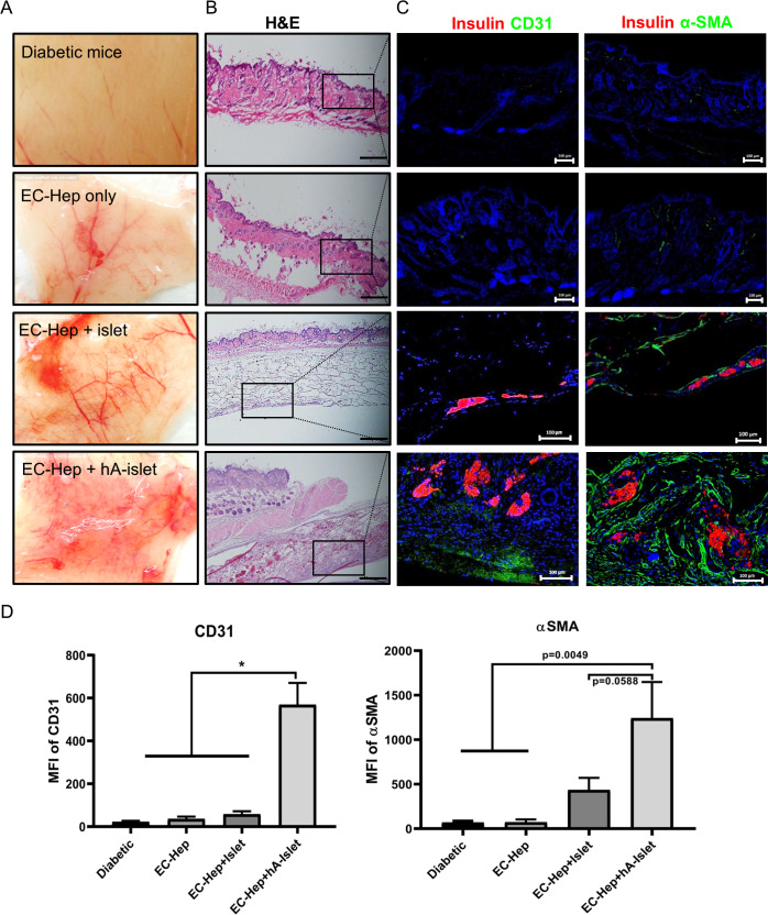 Figure 1 The Differences Between CGT CRO and Traditional Industries.