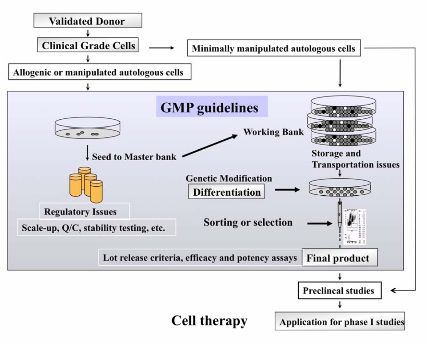 Figure 1 The Differences Between CGT CRO and Traditional Industries.