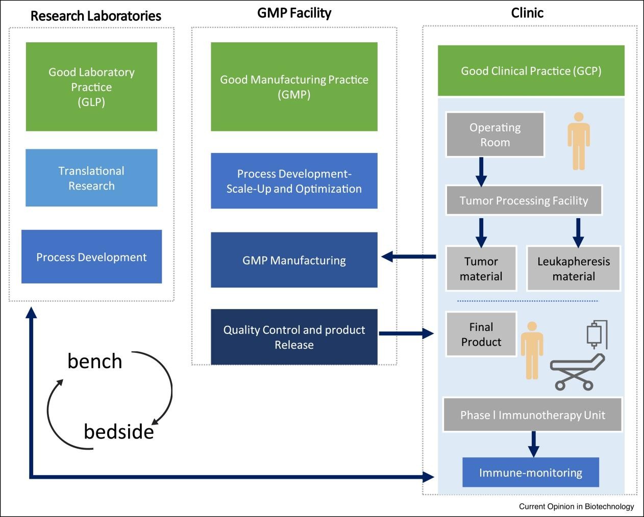 Figure 1 The Differences Between CGT CRO and Traditional Industries.
