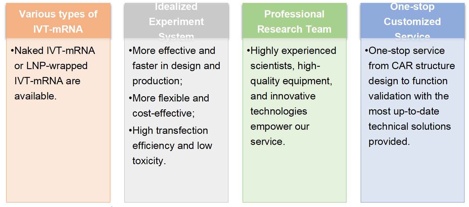 Our Highlight Features