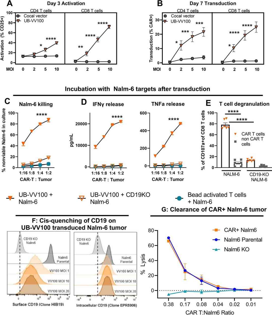 Fig.3: UB-VV100 activates and transduces unstimulated T cells.