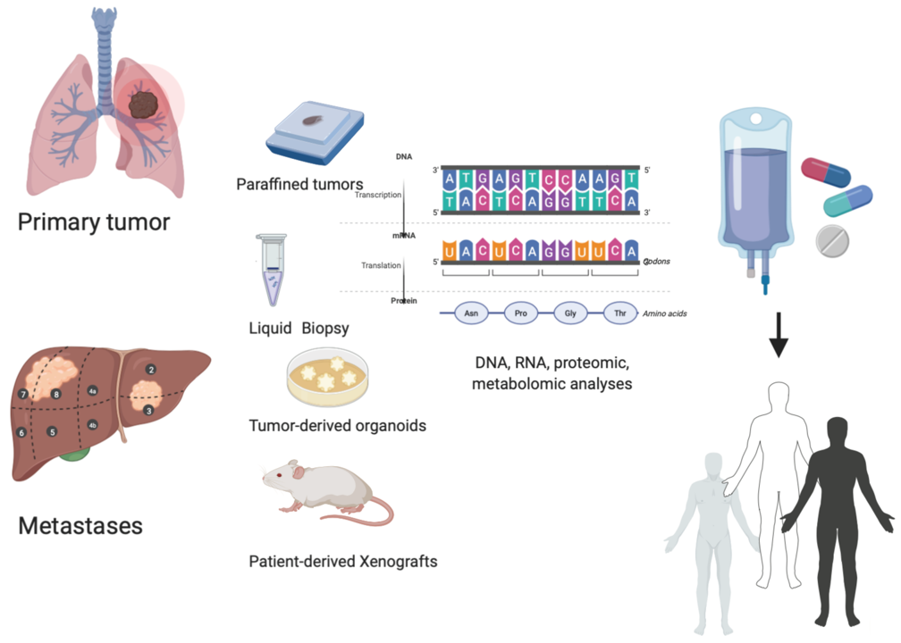 Fig.1 Personalized therapy takes an integrated precision approach. (Gambardella, et al., 2020)