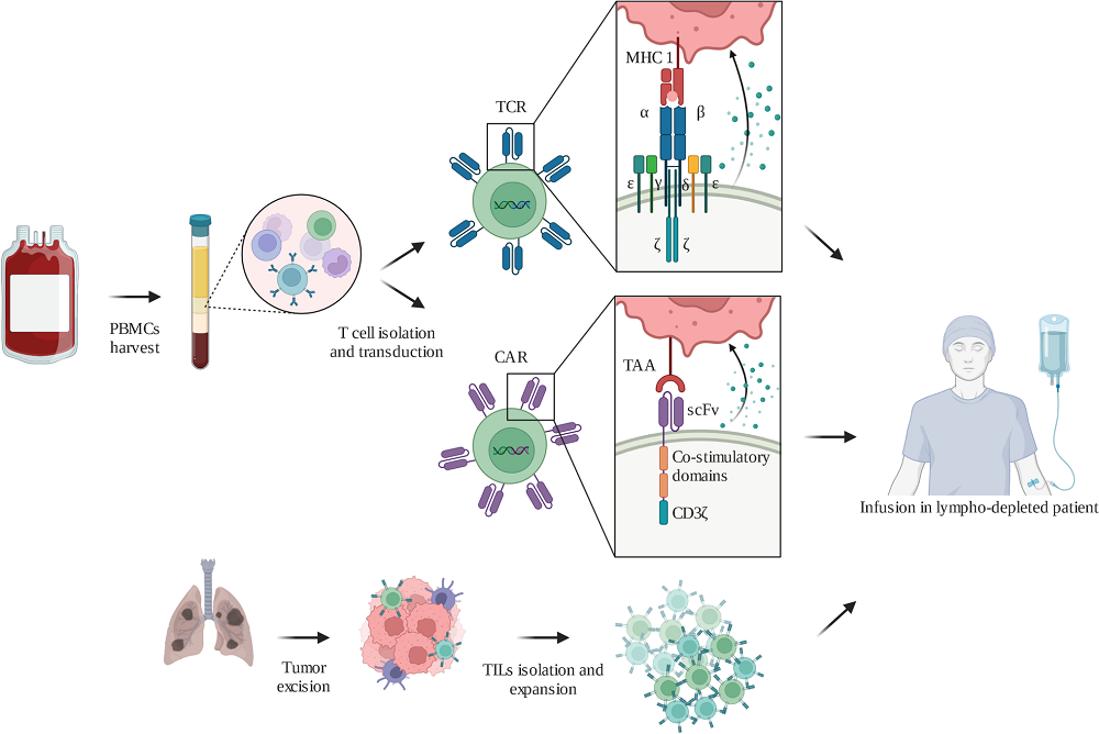 Adoptive cell therapies manufacturing process.