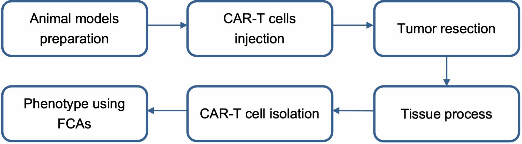 Fig. 2 Tumor-infiltrating CAR-T Cells Isolation and Identification workflow. (Creative Biolabs Original)