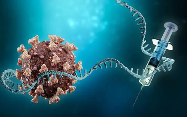 mRNA-Based CAR Cell Platform (Creative Biolabs Authorized)