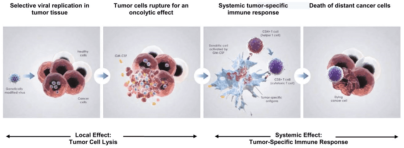 Mechanisms of actin of oncolytic viruses destroying tumor cells