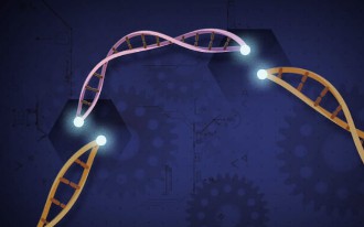 CAR-T Cell Therapy with CRISPR Platform