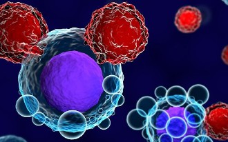 iPSC-derived CAR-NK Therapy