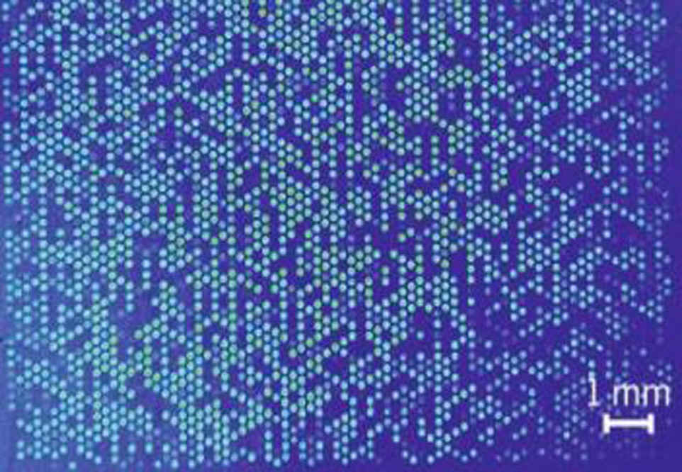 pMHC microarrays