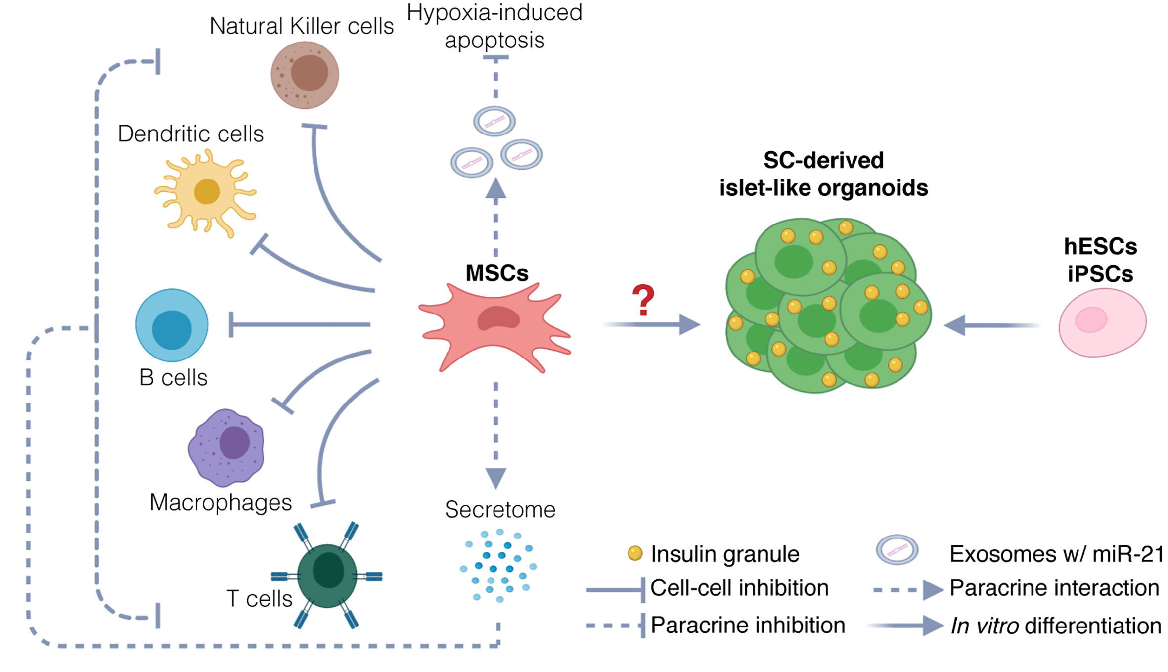 Figure 3 Development of the iPSC technology.