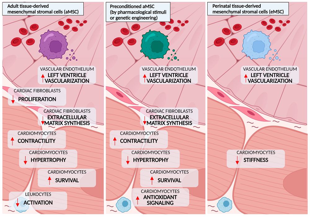 Figure 3 Development of the iPSC technology.