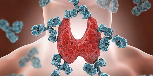 Complement System Effector Functions