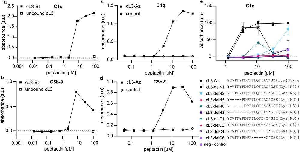 Activation of complement via C1q binding to cL3