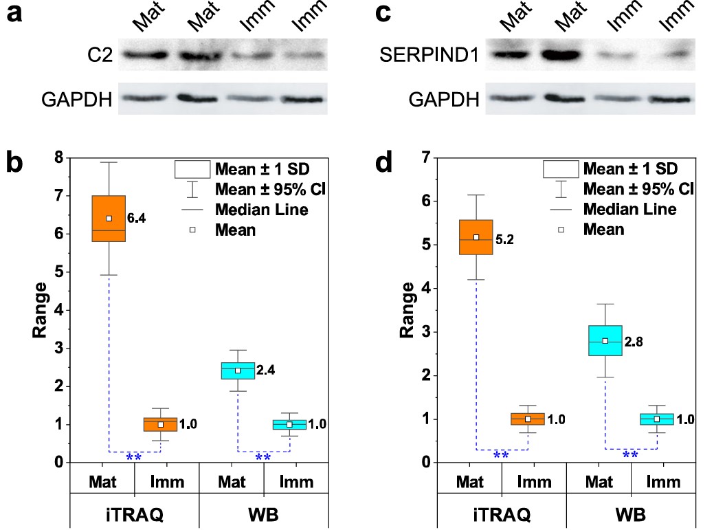 Western blot (WB) analysis for C2 and SERPIND1 in the yak follicle fuid (FF) samples.