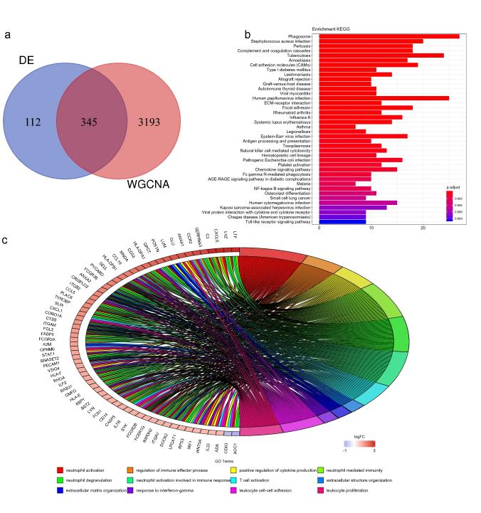 Enrichment analysis.