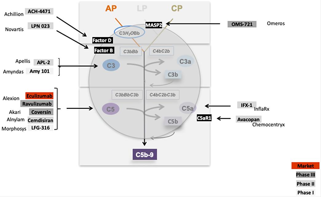 Fig. 2 Complement inhibitors target different levels and steps of the complement cascade. (Zipfel, et al., 2019)