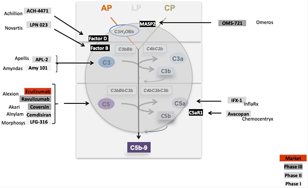 Complement inhibitors target different levels and steps of the complement cascade.