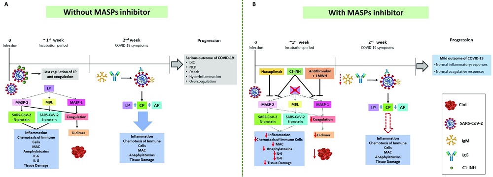 Promising therapeutic targets.